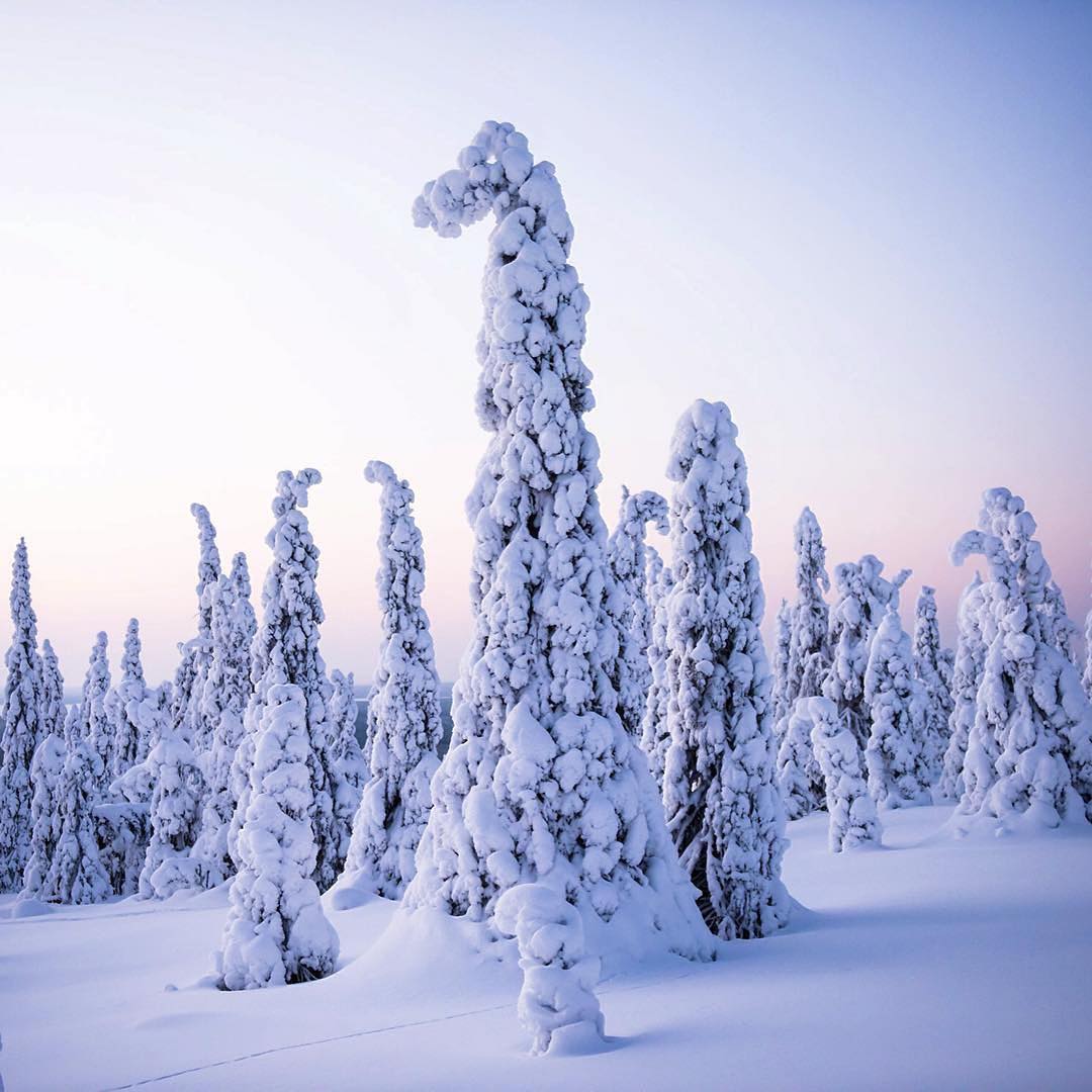 Национальный парк Рииситунтури, Финляндия - 5