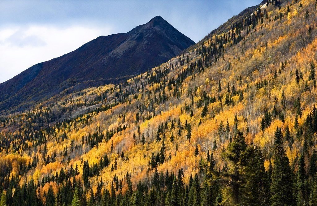 Путешествие по Аляске - 5