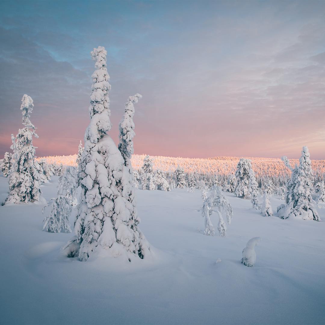 Национальный парк Рииситунтури, Финляндия