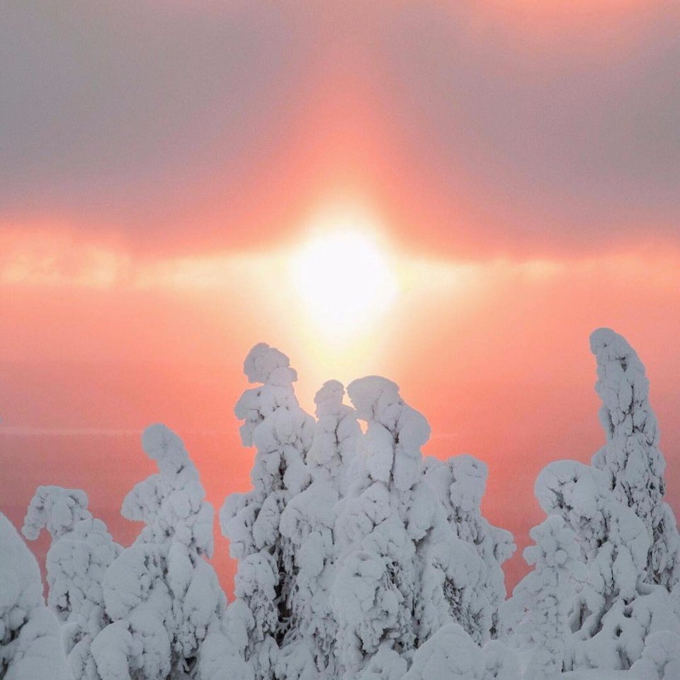 Национальный парк Рииситунтури, Финляндия
