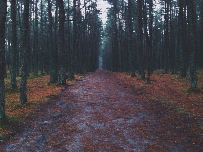 Природа России