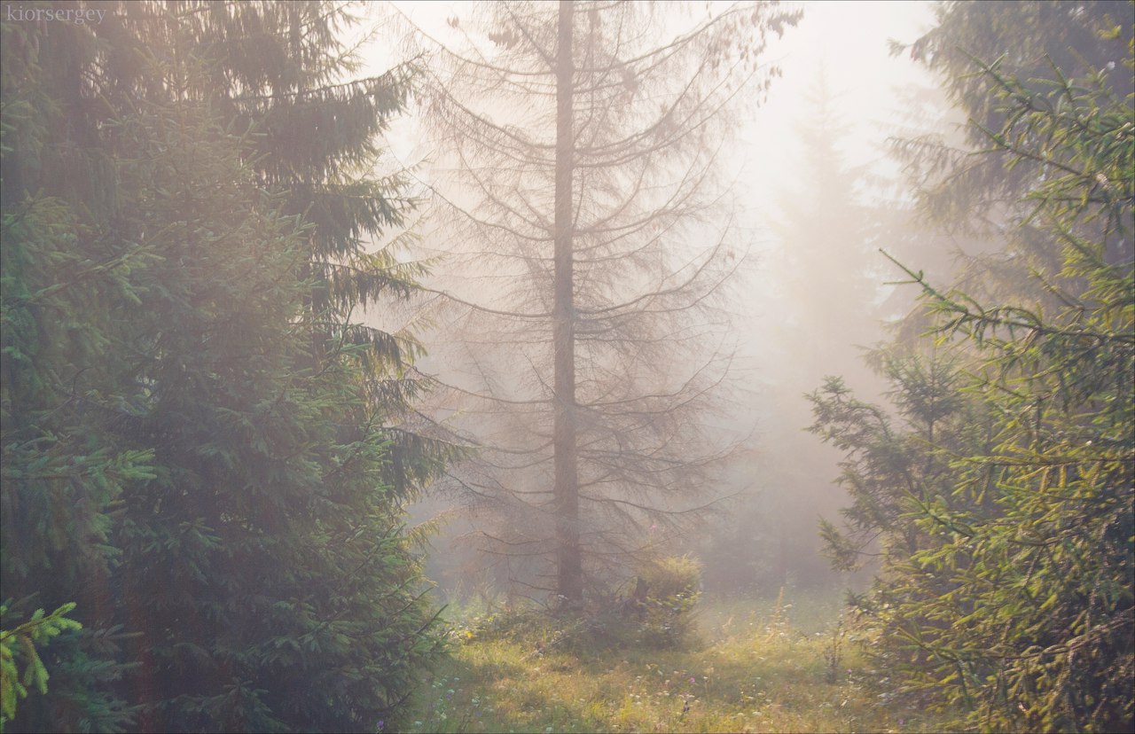 Летние Карпаты, Украина