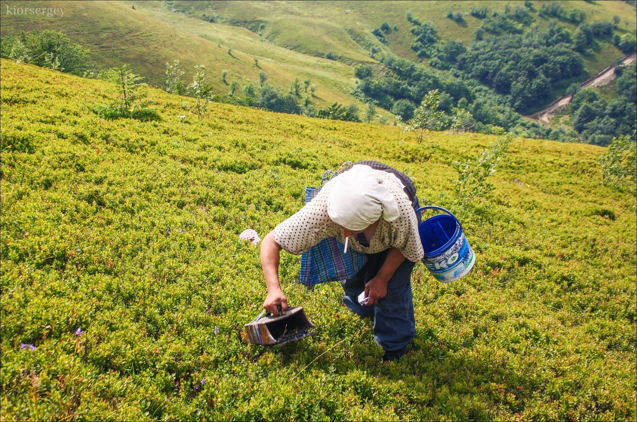 Летние Карпаты, Украина - 7