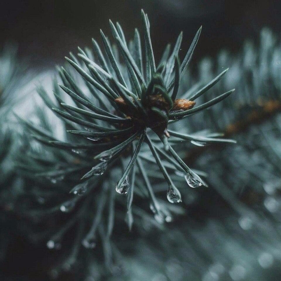 Природная красота - 5