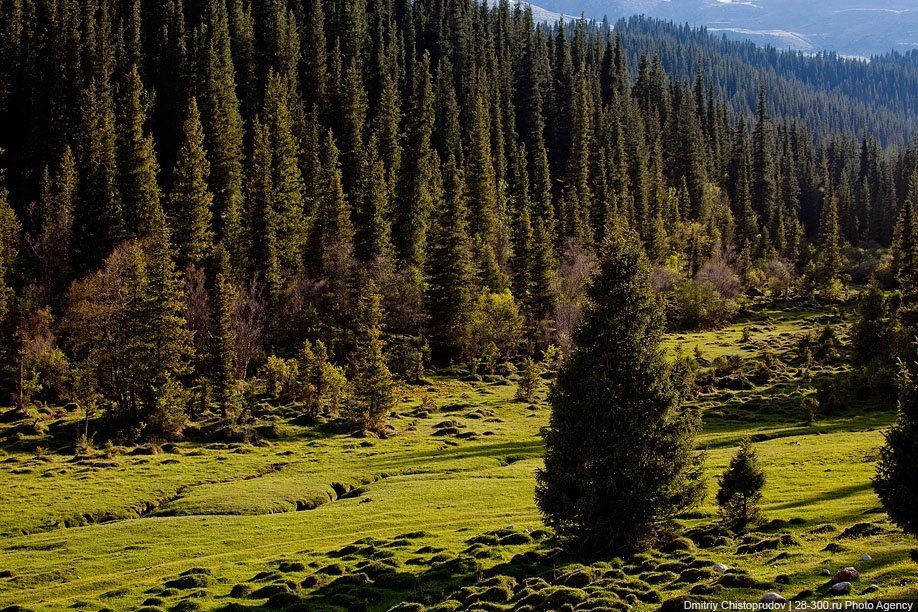 Красота Киргизии