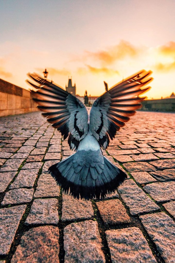 Удачный момент.