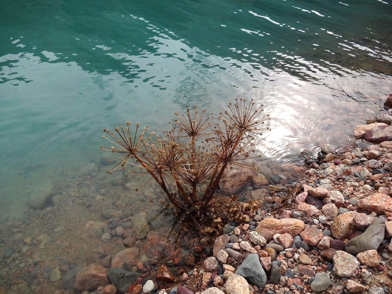 Большое Алматинское озеро (БАО) и окрестности. Казахстан, Алматинская область. - 8