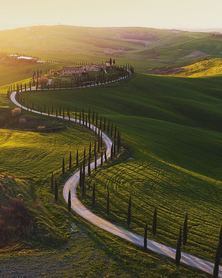 Дорога в Тоскане, Италия<br><br>Фото: Iurie Belegurschi