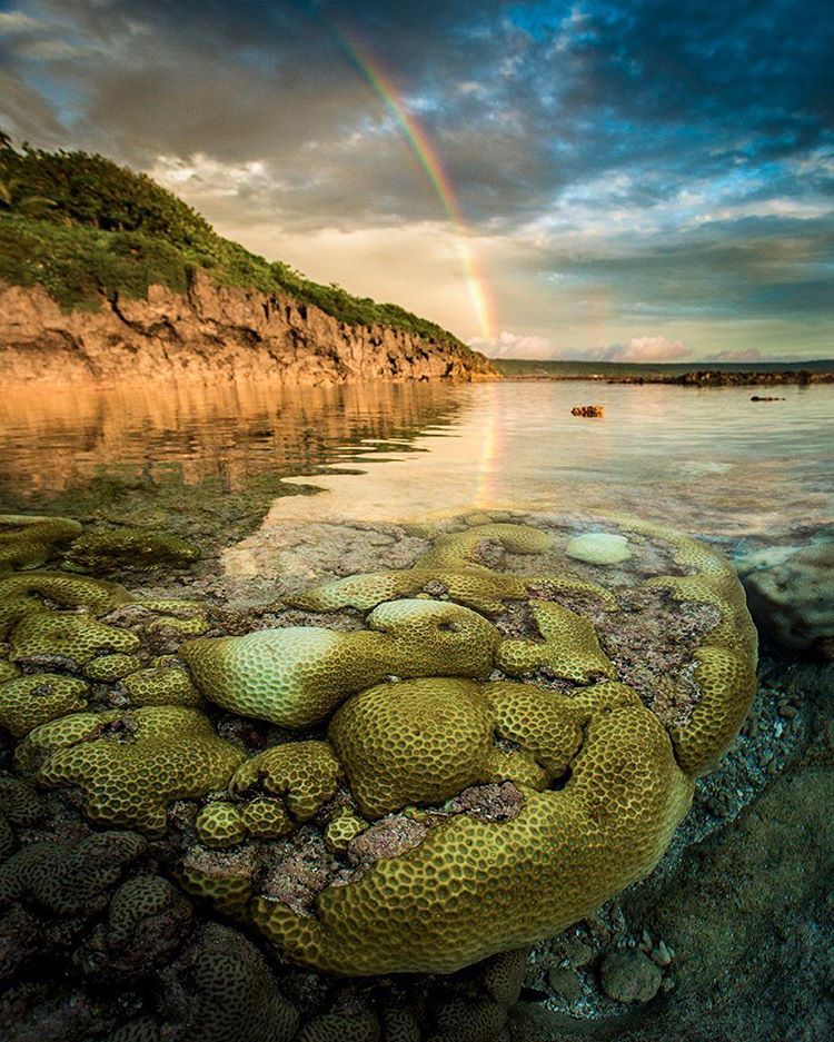 Побережье острова Ниуэ, Новая Зеландия