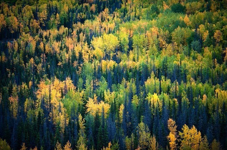 Путешествие по Аляске - 8