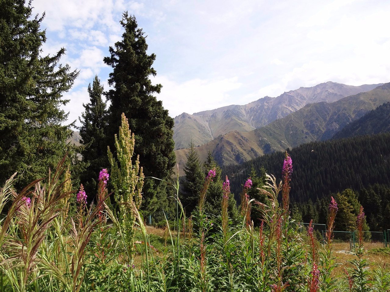 Большое Алматинское озеро (БАО) и окрестности. Казахстан, Алматинская область. - 5