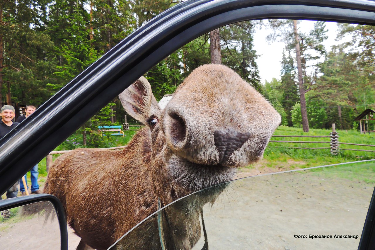 Национальный Парк Зюраткуль. Урал. <br><br>Фото: Брюханов А.