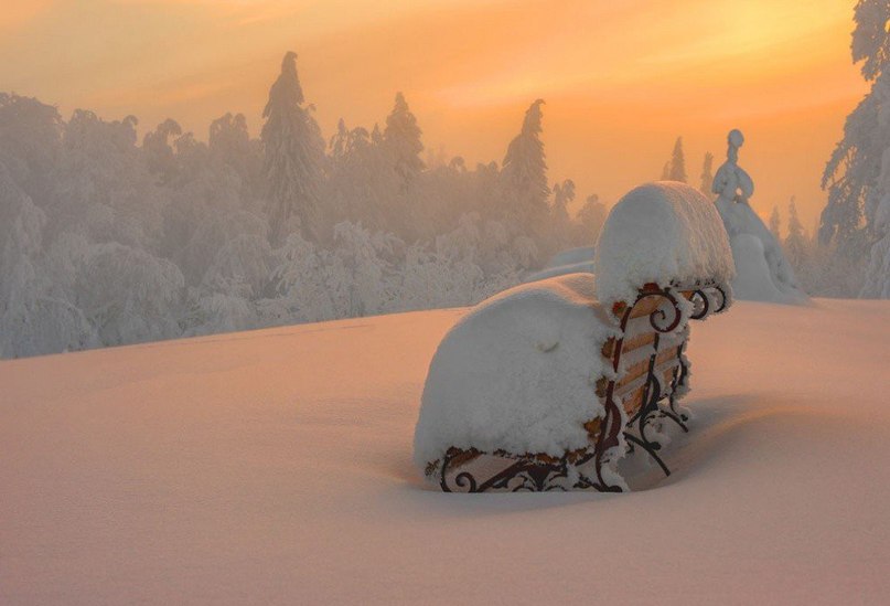 Зачаровують знімки застиглої природи від фотографа Володимира Чуприкова. - 5