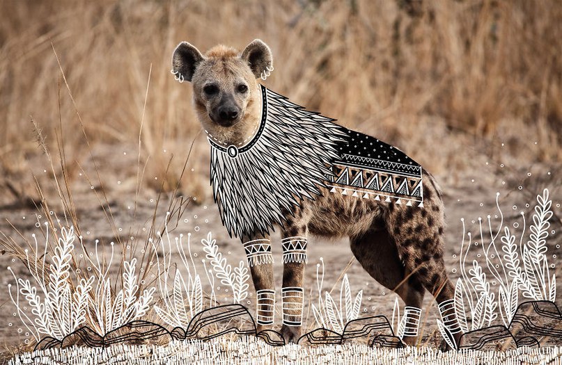 Иллюстратор ​ Rohan Sharad Dahotre оформил фотографии животных в этническом стиле.  - 8