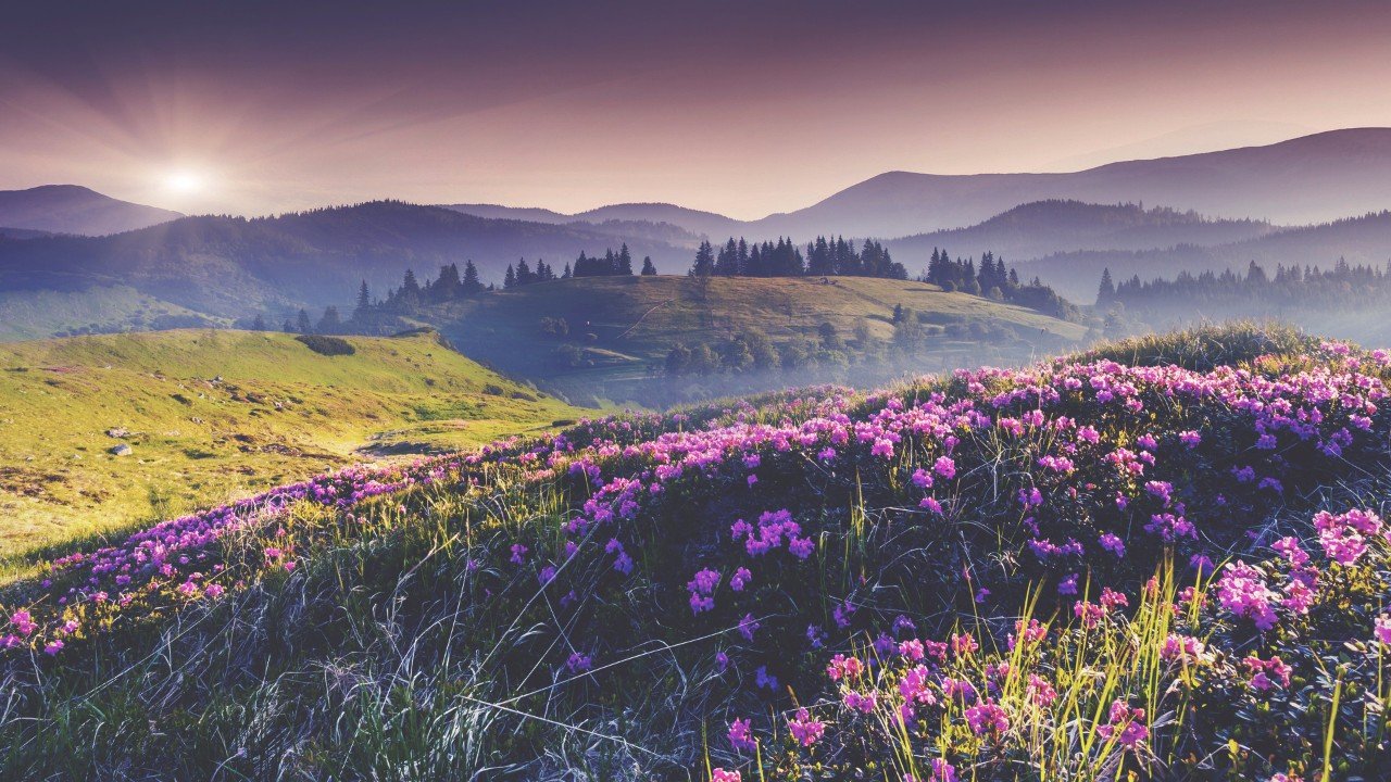 Утро в Италии