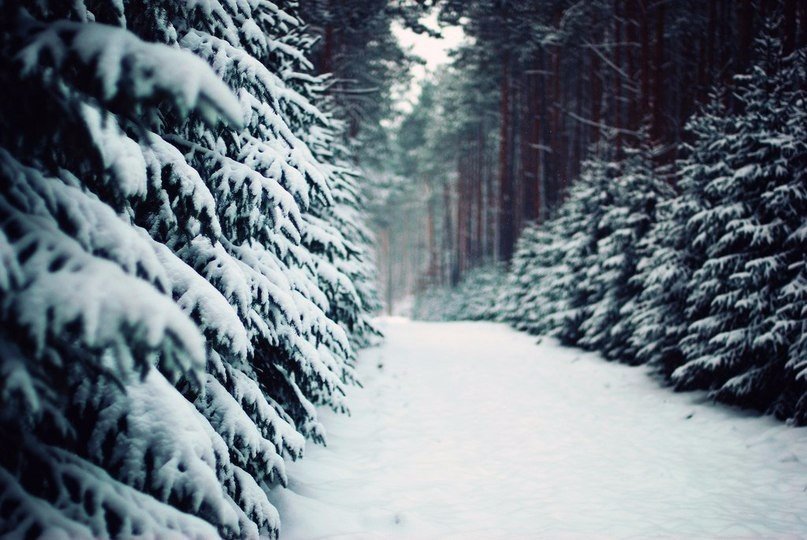 Вот бы сейчас там прогуляться...