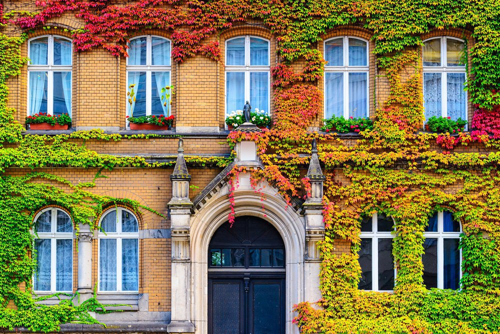 Берлин прекрасен в любое время года! - 7