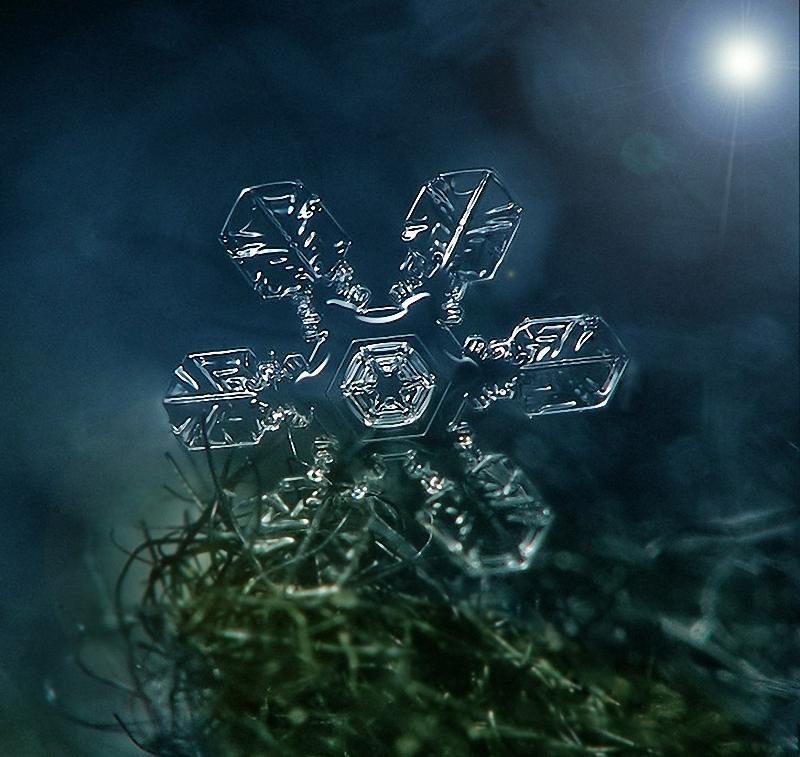 Снежинки под микроскопом. Каждая из них уникальна. - 7