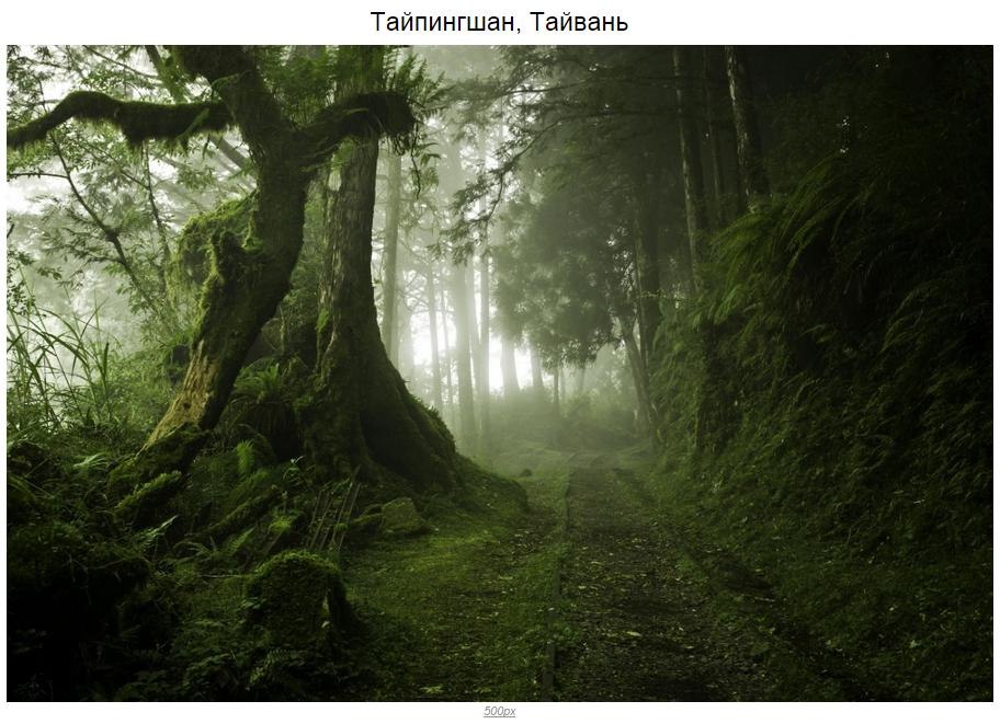 10 мистических лесов, в которых хочется заблудиться - 5