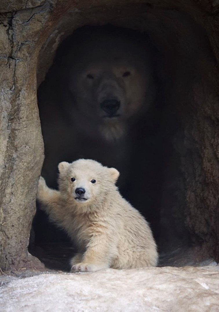 Под надёжной защитой.