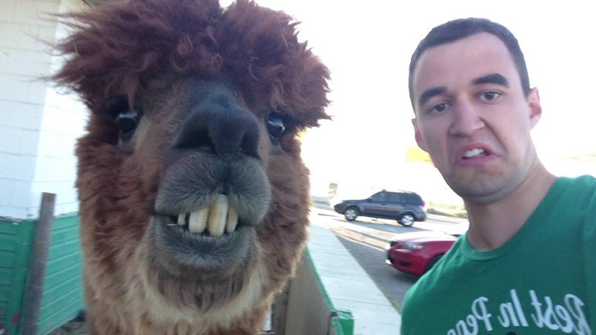 Придумайте подпись к фото 