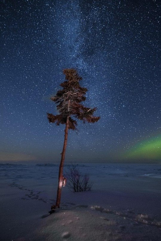 Космос Белого моря, Северная Двина - 2