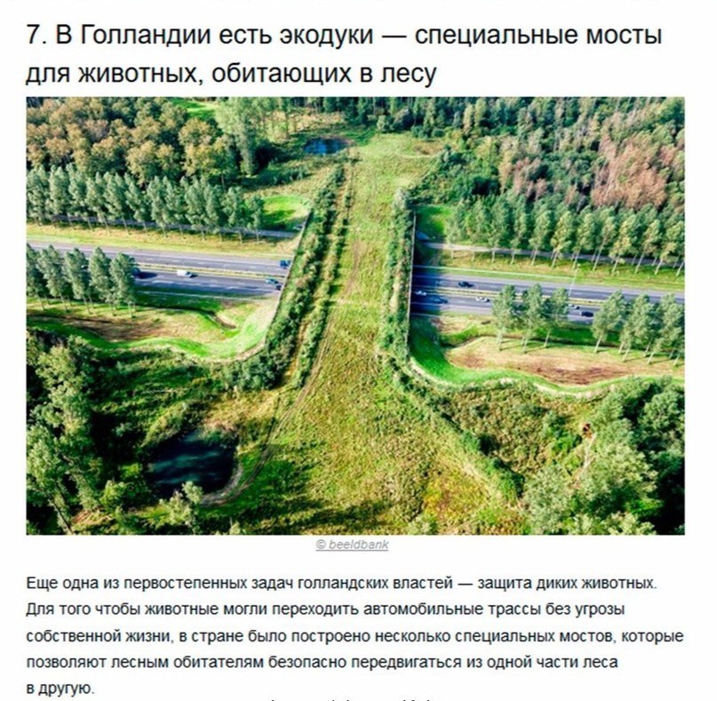 7 доказательств, что Голландия — это страна будущего. - 6