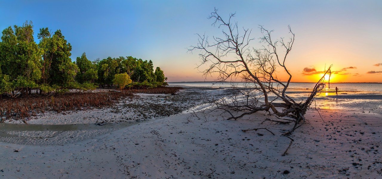 Занзибар - остров вечного лета, красивых пляжей и удивительных животных