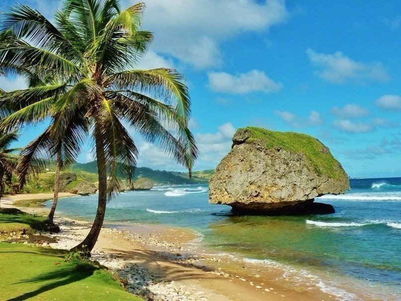 Утреннее побережье, Барбадос