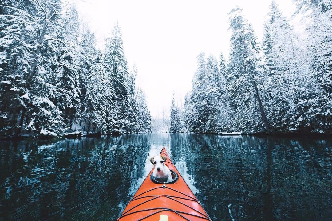 Кто не путешествует, тот не знает реальную ценность человеческой жизни.