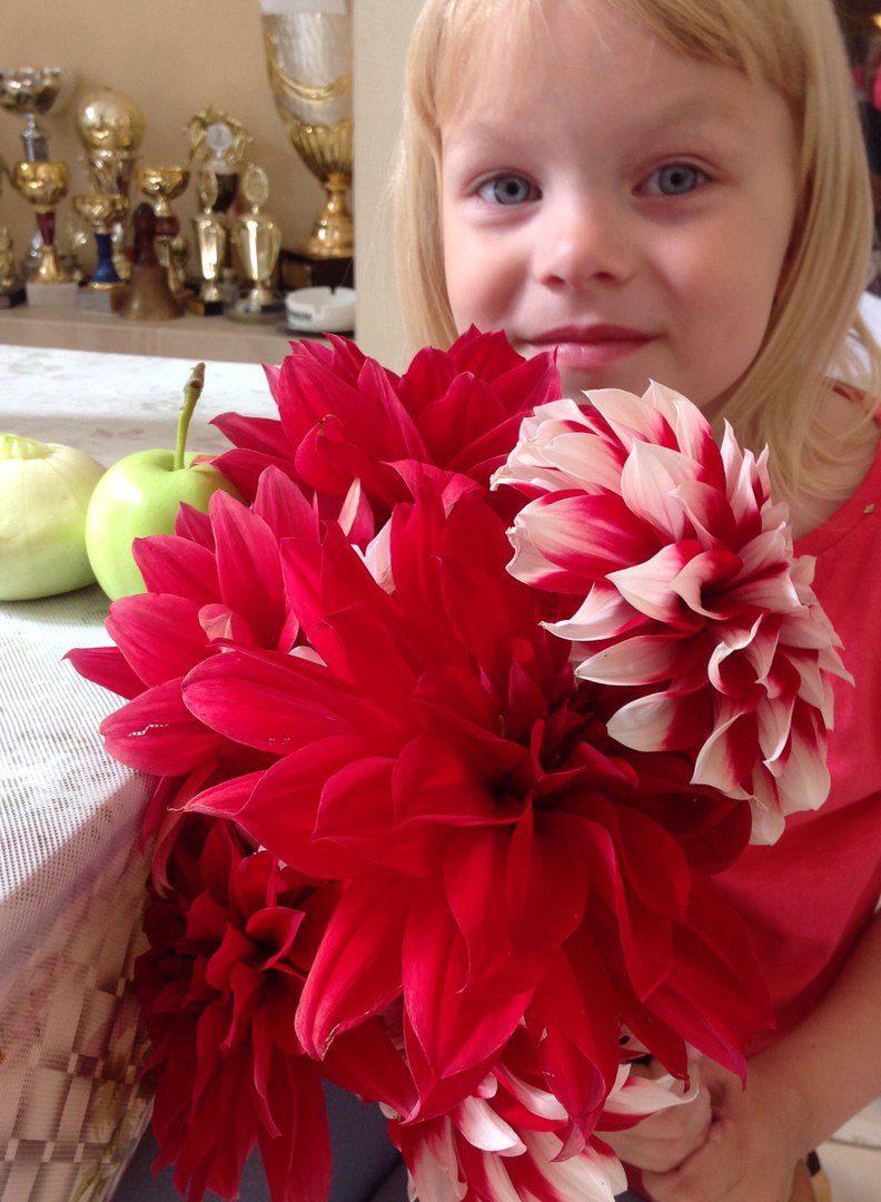 Дорогие друзья! Мы просим вашей помощи!<br><br>Пожалуйста, максимальный репост!!!<br>Софья Беляева, 4 года, г. Петрозаводск.<br><br>Диагноз: пилоцитарная астроцитома моста, продолговатого мозга и мозжечка (опухоль головного мозга).<br><br>Наша история: с 