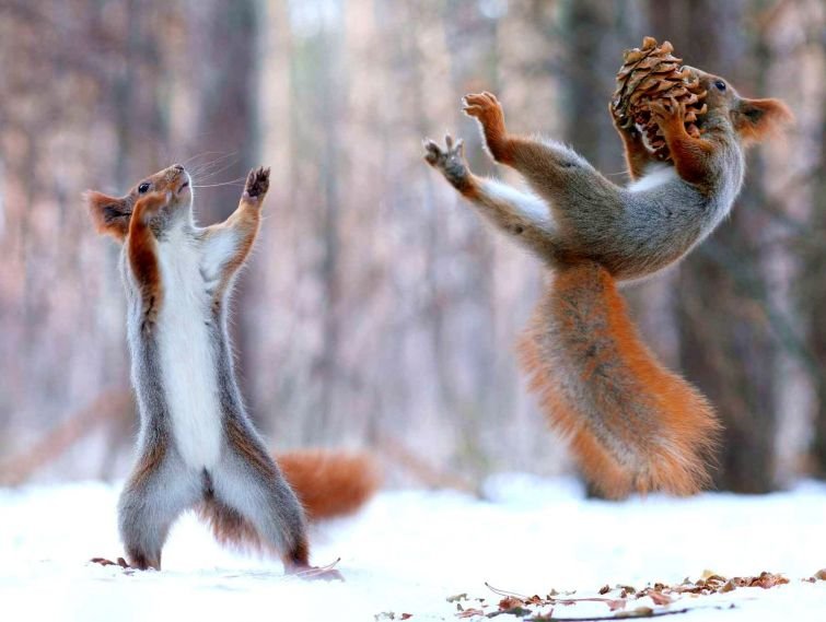 10 захватывающих снимков, доказывающих, что окружающий мир круче фотошопа.