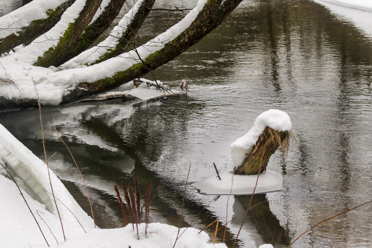 Река Ислочь 28 января. <br>Район д.Киевец за г.Раков, Беларусь<br>Небольшая фотопрогулка по колено в снегу... Льда на реке уже нет, сезон сплавов начался...<br><br>__________________ <br>Присылайте нам истории о ваших путешествиях в "Предложить новость"! 