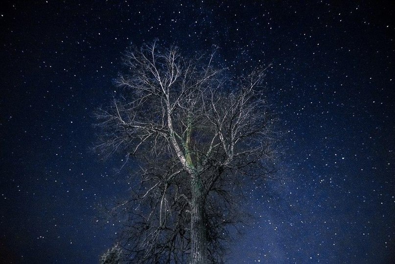 Космос Белого моря, Северная Двина - 5