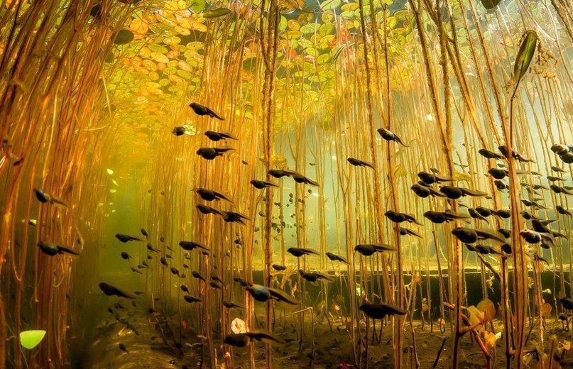 10 фотографий без фотошопа, где реальность граничит с иллюзией.