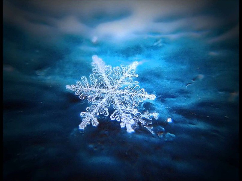 Снежинки под микроскопом. Каждая из них уникальна. - 5