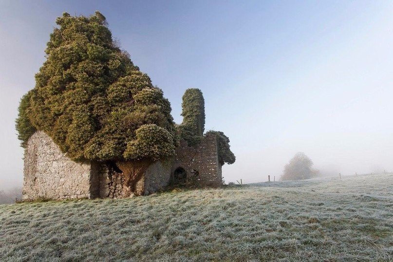 Старая церковь, Ирландия