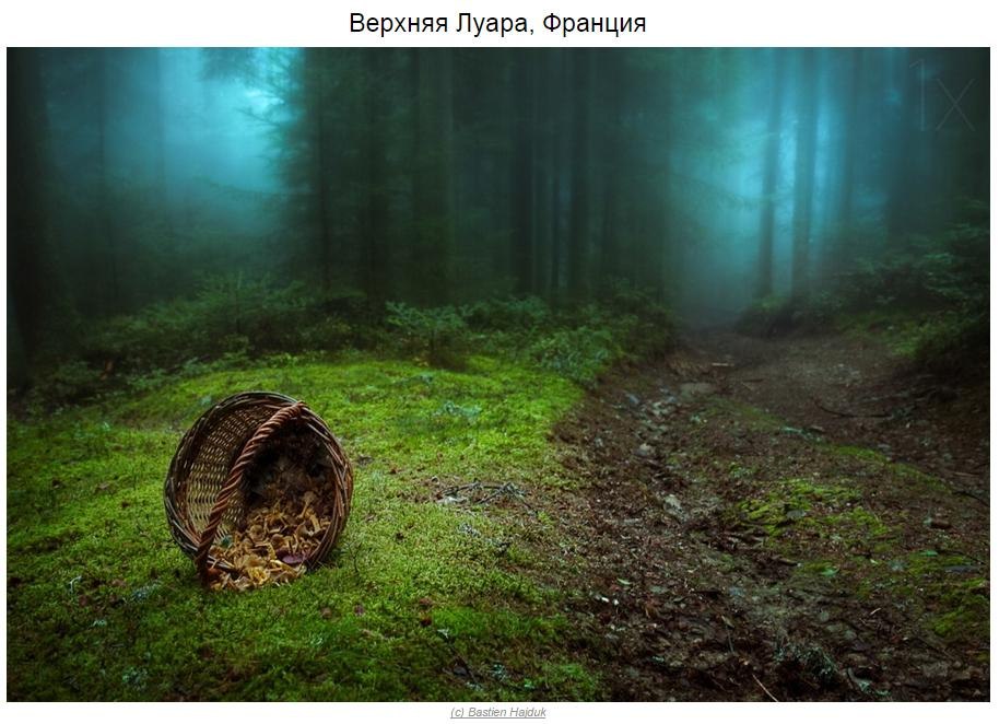 10 мистических лесов, в которых хочется заблудиться - 6