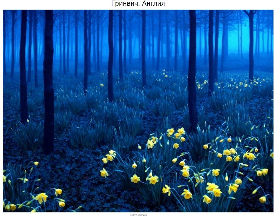 10 мистических лесов, в которых хочется заблудиться - 8