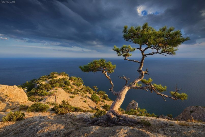 Новый Свет, Крым.