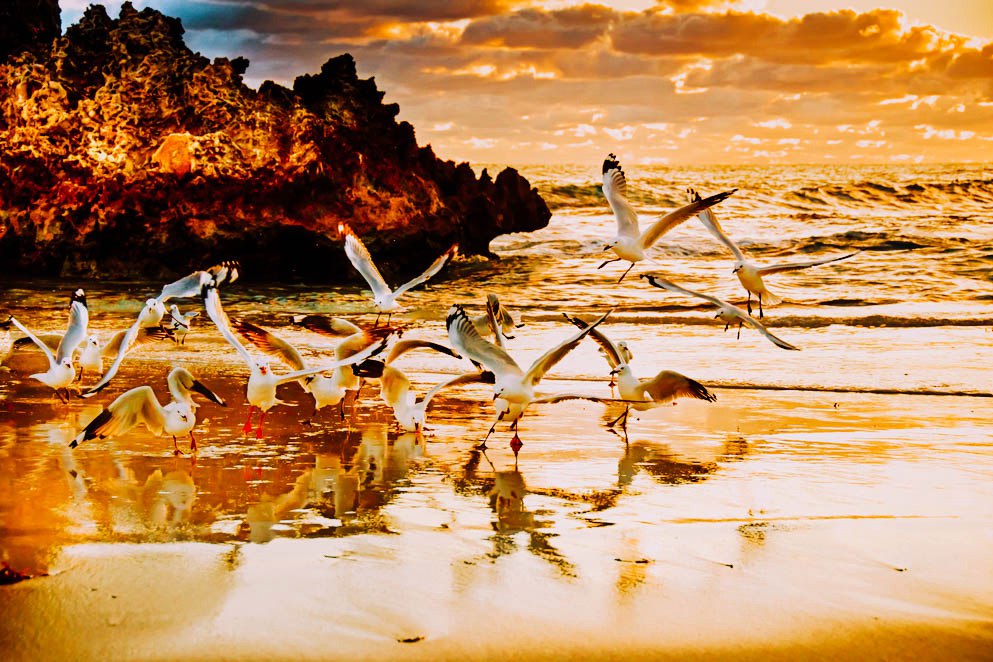 Австралия - 5