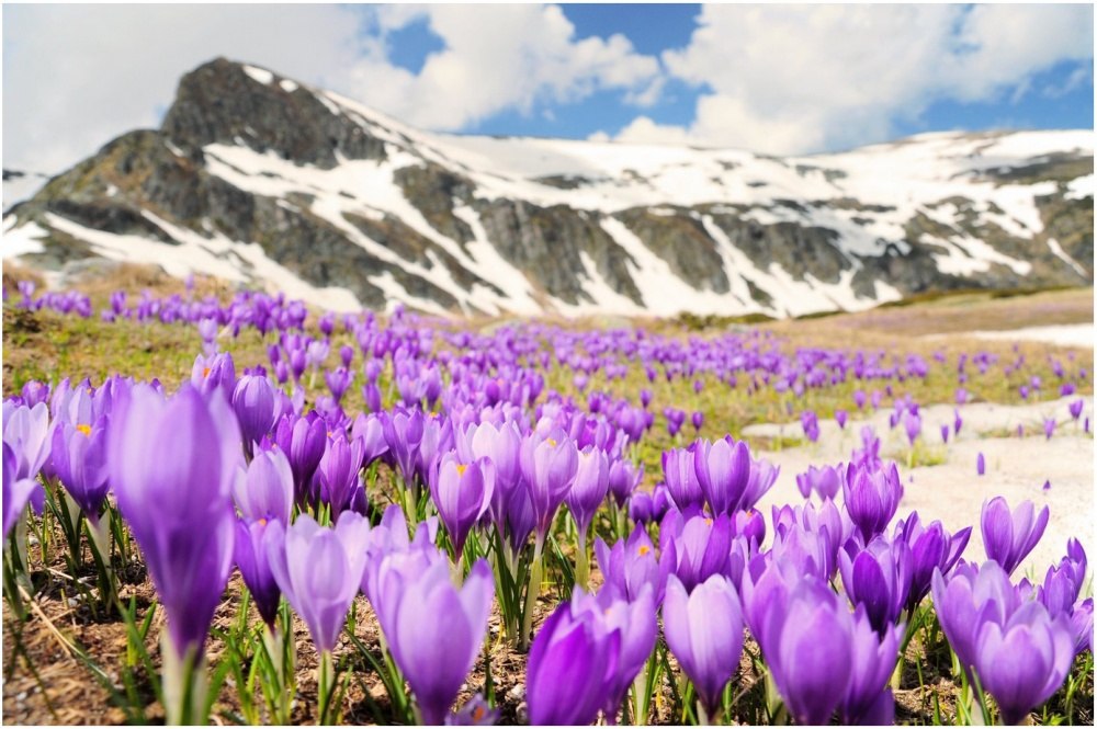 В феврале специально только 28 дней. Чтобы весна пришла как можно скорее!