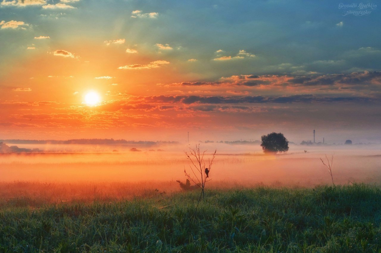 Туманный рассвет. <br>Сразу хочется лета!
