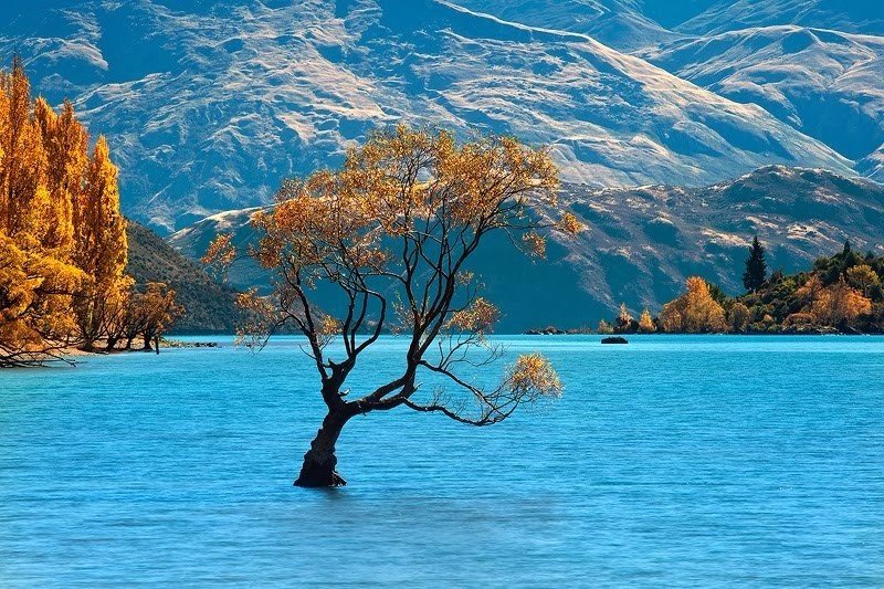 Озеро Ванака, остров Южный, Новая Зеландия