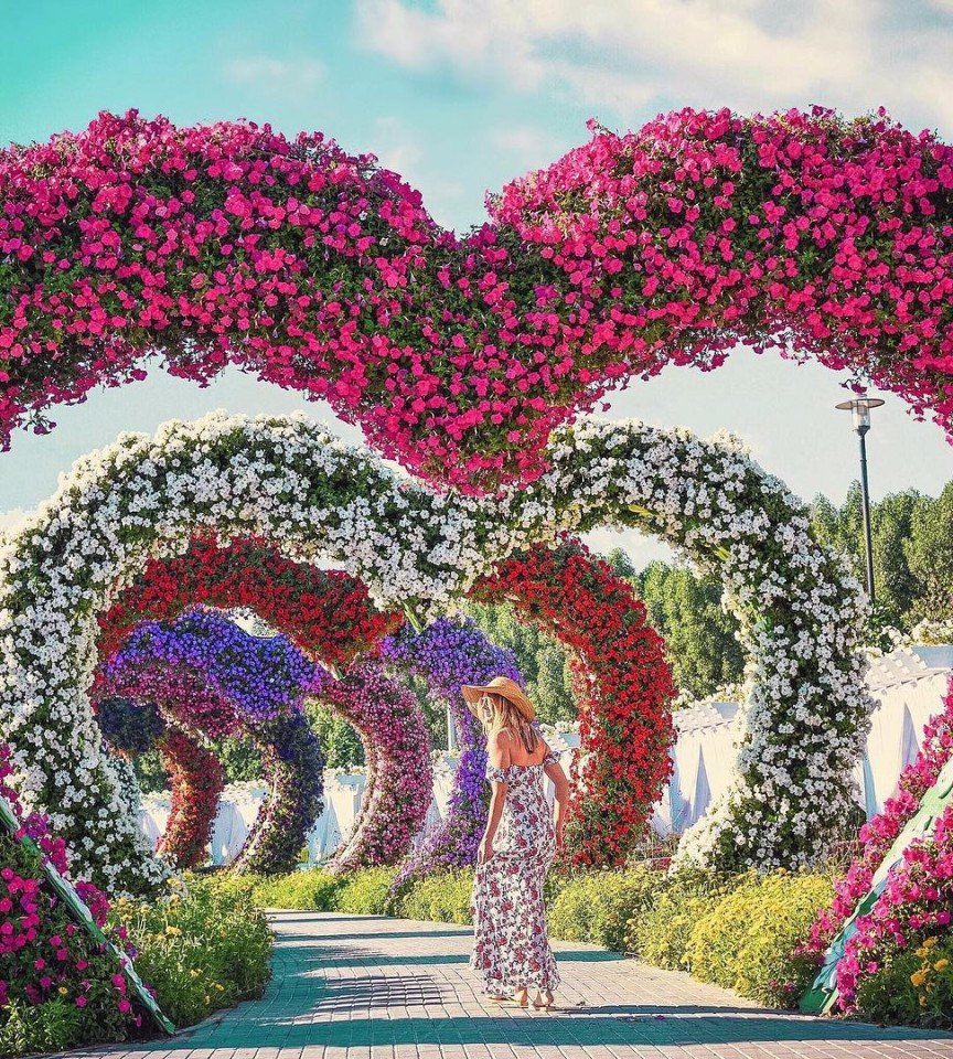 Сердечная аллея в Dubai Miracle Garden