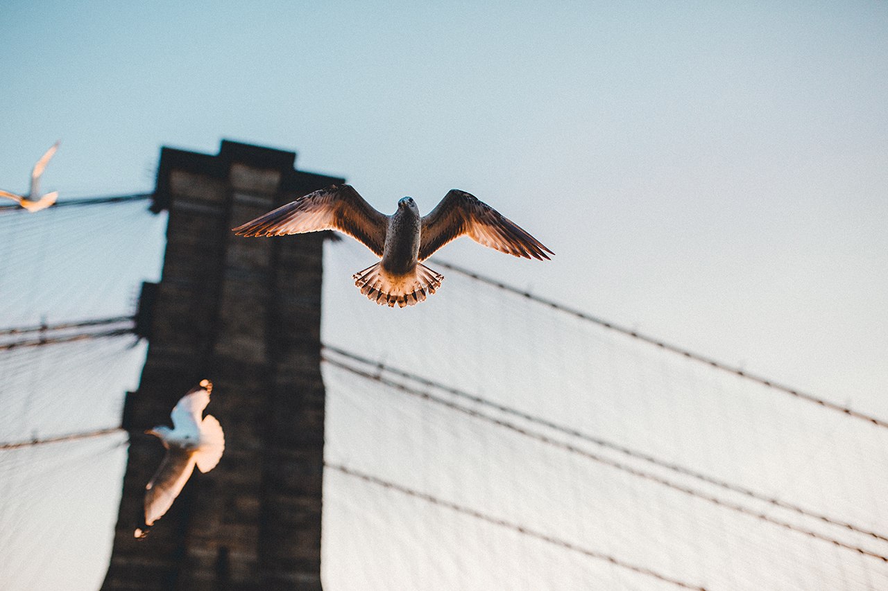 Путешествие – это та вещь, купив которую, вы станете только богаче. - 7