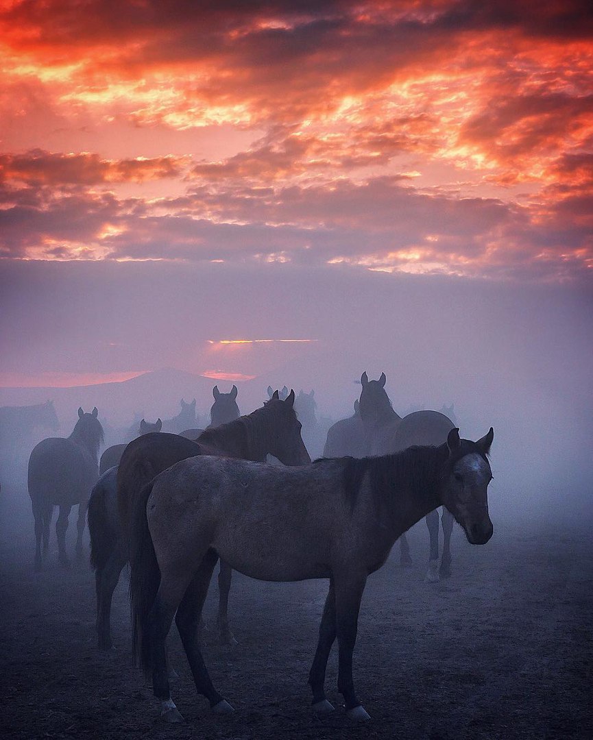 Рассвет в Кайсери, Турция