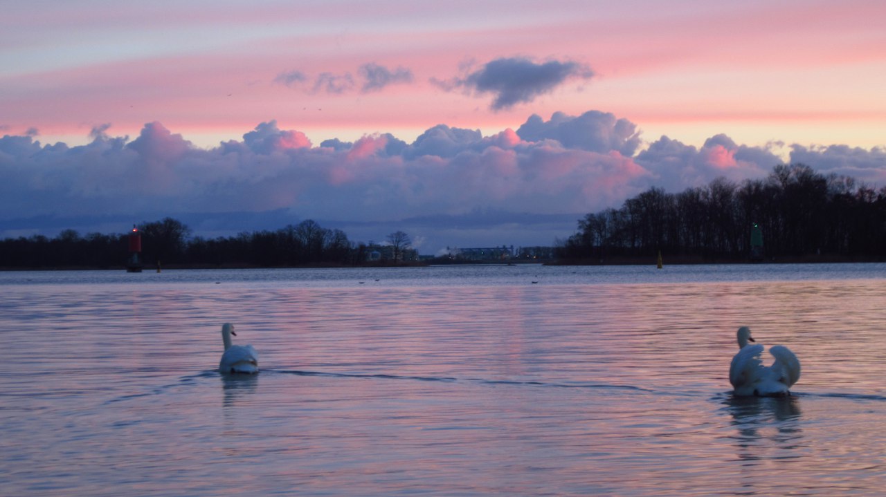 Утро в Калининграде. <br>А какое утро у вас? Делитесь своими фотографиями в комментариях 