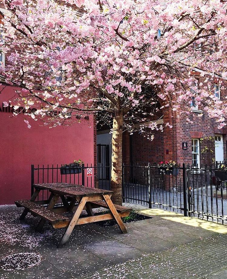 Уже скоро...<br>Весна в Лондоне