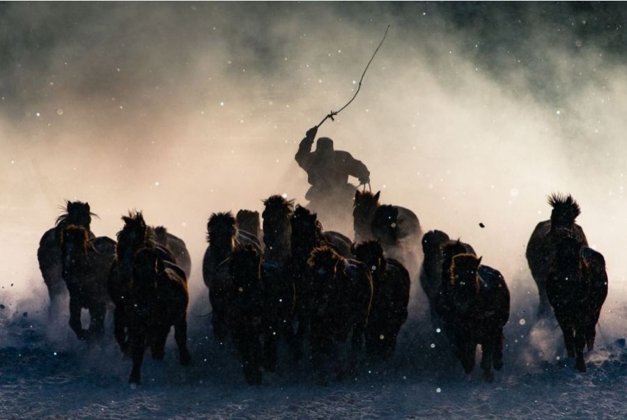 Победитель National Geographic Travel Photographer 2016<br>Зимний всадник, Монголия
